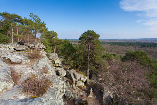 Panorama sur la forêt de Fontainebleau